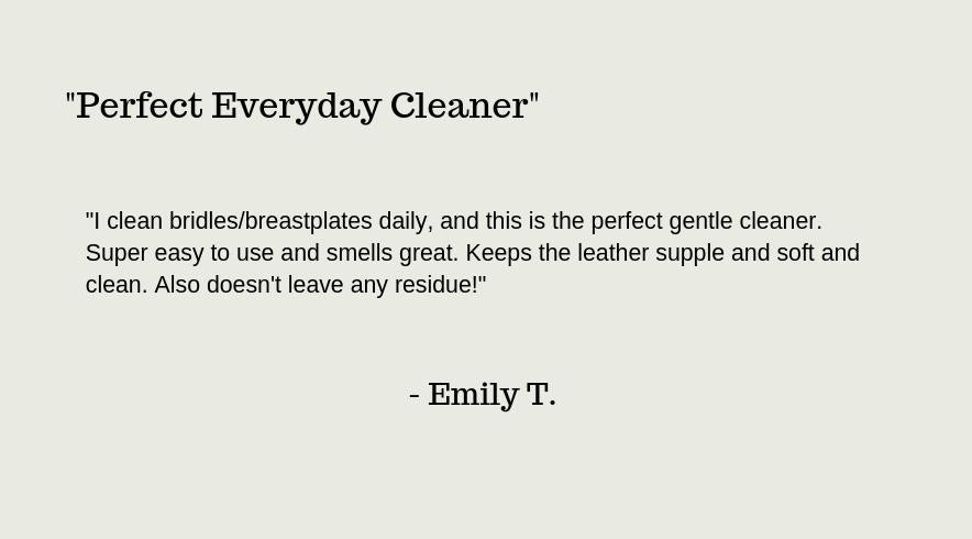 Review of Clearly Clean and Conditioned Leather Cleaner and Conditioner